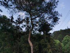 -古宇湖风景名胜区