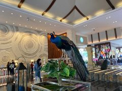 -西双版纳融创皇冠假日度假酒店