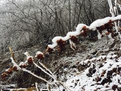 -太子岭滑雪场