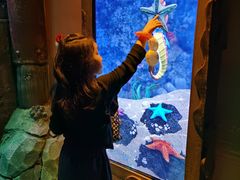 -沈阳海洋探索中心