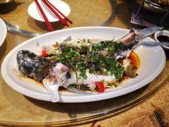 万绿湖水库鲩鱼-五邑人家(江门店)