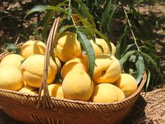 -郴州特产舜华临武鸭(郴州西站店)