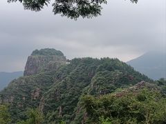 -雾与山茶(大禹城店)