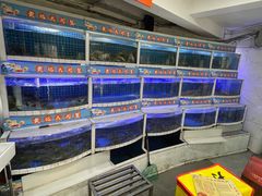 -黄记大闸蟹专卖店·活蟹·醉蟹