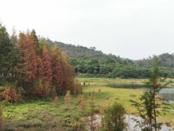 -佛灵湖水上乐园