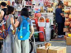 -溪岸路花鸟市场