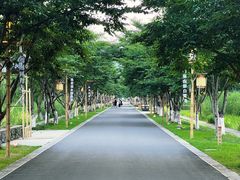 -长田漾湿地公园