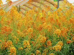 -中国天府农业博览园