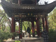-迎泽公园
