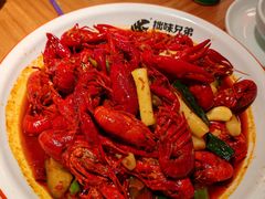 -拙味兄弟·活龙虾·旗舰店(环城西路店)