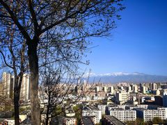 -鲤鱼山公园
