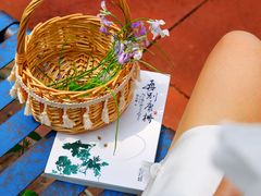 -将府公园