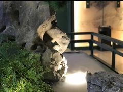 -潮上潮(南中环店)