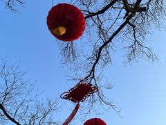 -北京国子监胡同