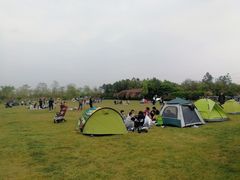 -上海海湾国家森林公园