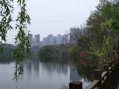 -重庆彩云湖湿地公园