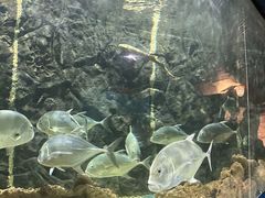 -西安曲江海洋极地公园