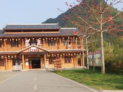 -靖西鹅泉风景区
