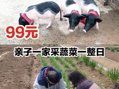 -前小桔亲子创意农场·草莓采摘·露营烧烤