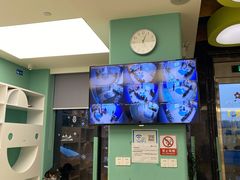 -贝乐少儿英语·全外教(滨江中心)