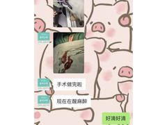 -安安宠医宠物医院·异宠·犬猫内科(岳阳分院)