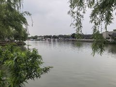 -八大山人梅湖景区