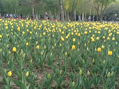 -长春公园(普阳街道)