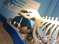 -石林冰雪海洋世界