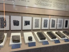 -亳州博物馆