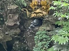 -杭州黄龙洞