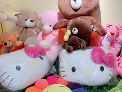 -PAWTOY爪e玩偶店(天兴罗斯福店)