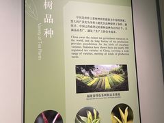 -中国茶叶博物馆(双峰馆区)