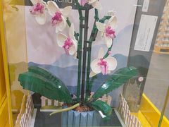-山姆会员商店(亦庄创意生活广场店)