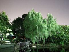 -玉山公园