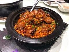 黄豆猪手煲-马仕玖煲·融合菜·酥不腻烤鸭(人大店)