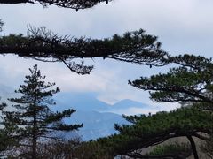 -黄山风景区
