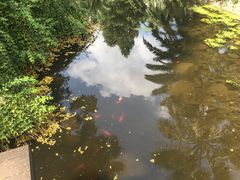 -苏州河梦清园环保主题公园