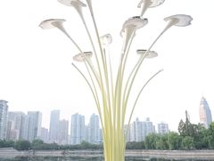 -西北湖绿化广场