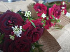 -双季花艺园艺市场(浦东店)