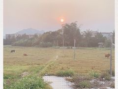 -那琴半岛地质海洋公园