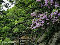 -尧山风景区