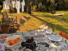 -合肥滨湖国家森林公园