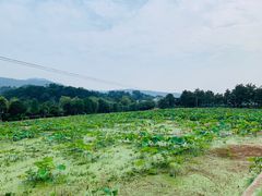 -韶山毛泽东同志故居