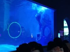 -常州海昌海洋探索馆