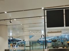 -麦当劳(北京大兴机场二层国内到达(安检外)店)