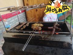 -老吴家烧烤(朝阳街店)
