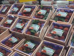 -AEON永旺(东方宝泰店)