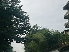 -西安祥峪森林公园