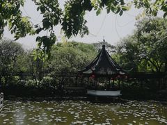 -上海醉白池公园