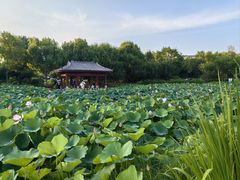 -云居湖
